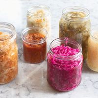 Crafty Cultures Vegetable Fermentation Kit